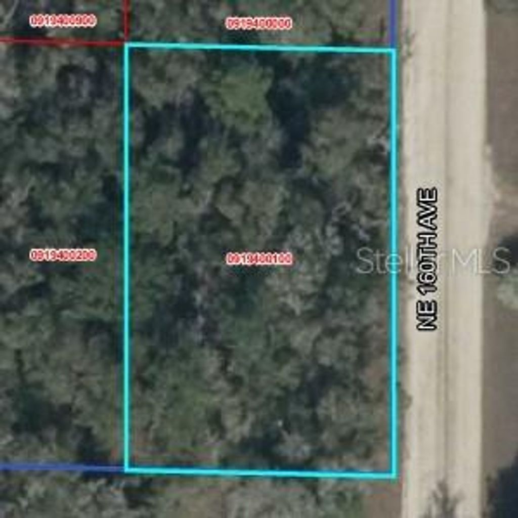 Photo of 2 NE 160th Ave, Williston, FL 32696 (MLS # S5145658)