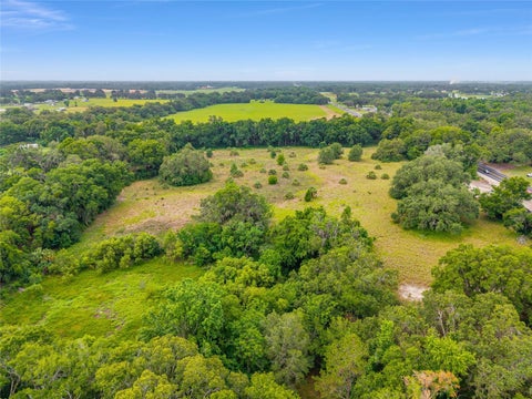 Tiny photo for Tbd S Highway 301, Summerfield, FL 34491 (MLS # OM703770)