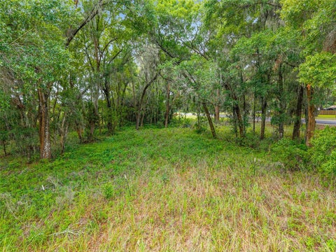 Tiny photo for Tbd S Highway 301, Summerfield, FL 34491 (MLS # OM703770)
