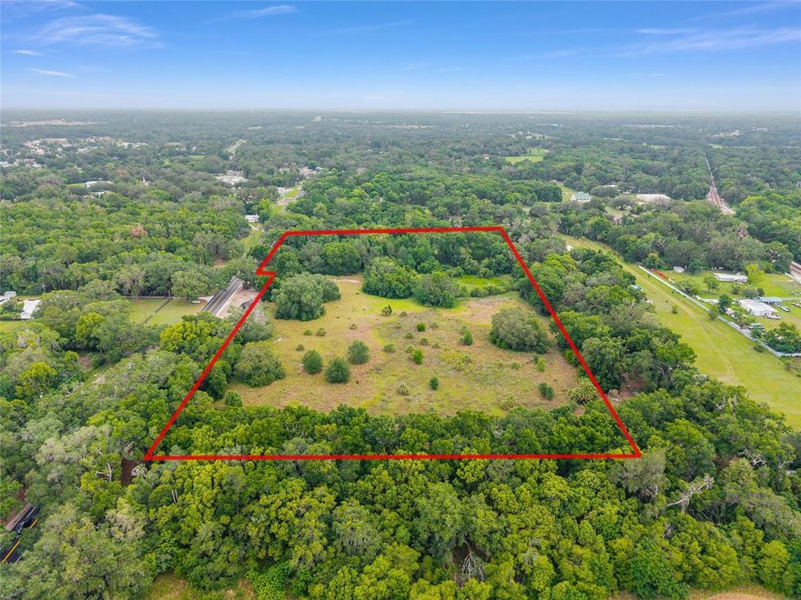 CHECK THIS OUT!!  Vacant Land on Highway 301 with tremendous potential.  16.23 +/- Acres with split zoning.  Approximately 11.08 +/- Acres is zoned B1 and approximately 5.15 +/- Acres is Zoned A1. Location is ideal.  Close Proximity and easy access to The Villages and Belleview.  Don’t miss out.  Set up a showing today.
