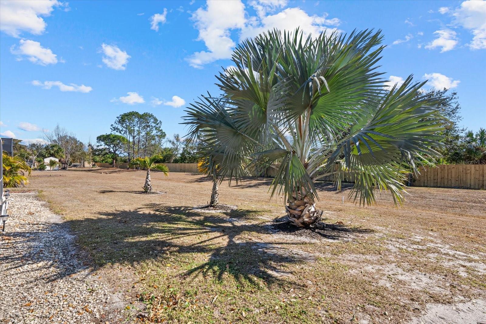 SETTLEMENT THE - Residential