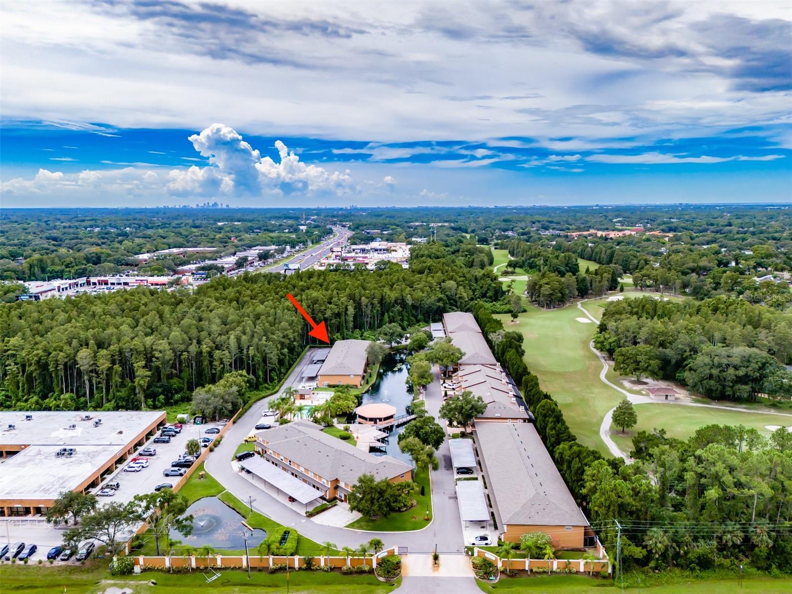 CARROLLWOOD COVE AT EMERALD GR - Residential