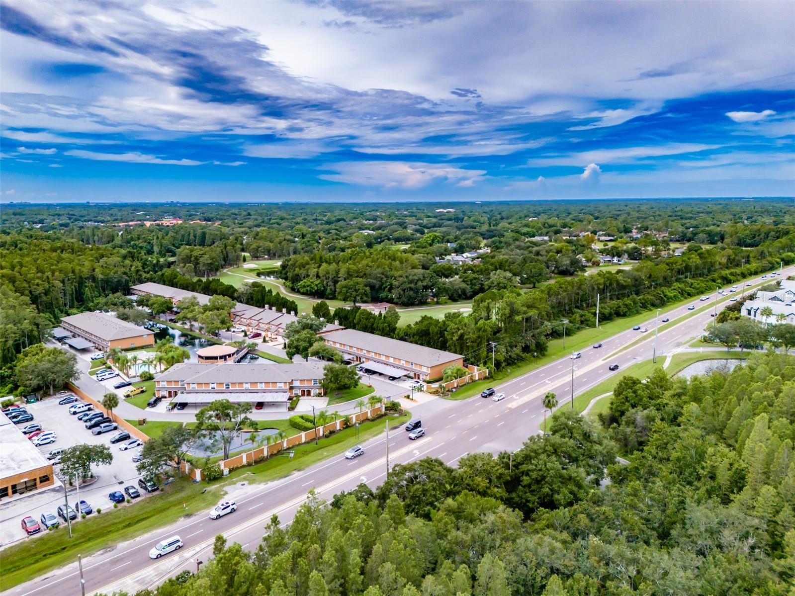 CARROLLWOOD COVE AT EMERALD GR - Residential