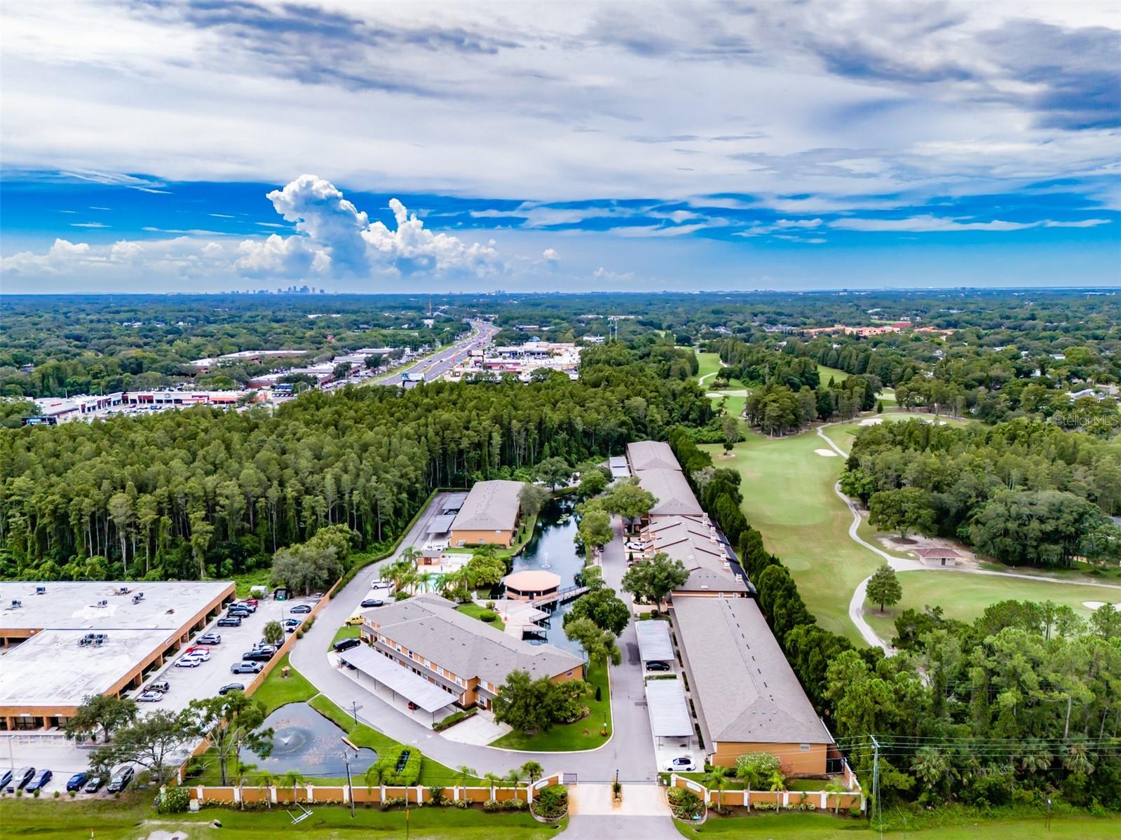 CARROLLWOOD COVE AT EMERALD GR - Residential