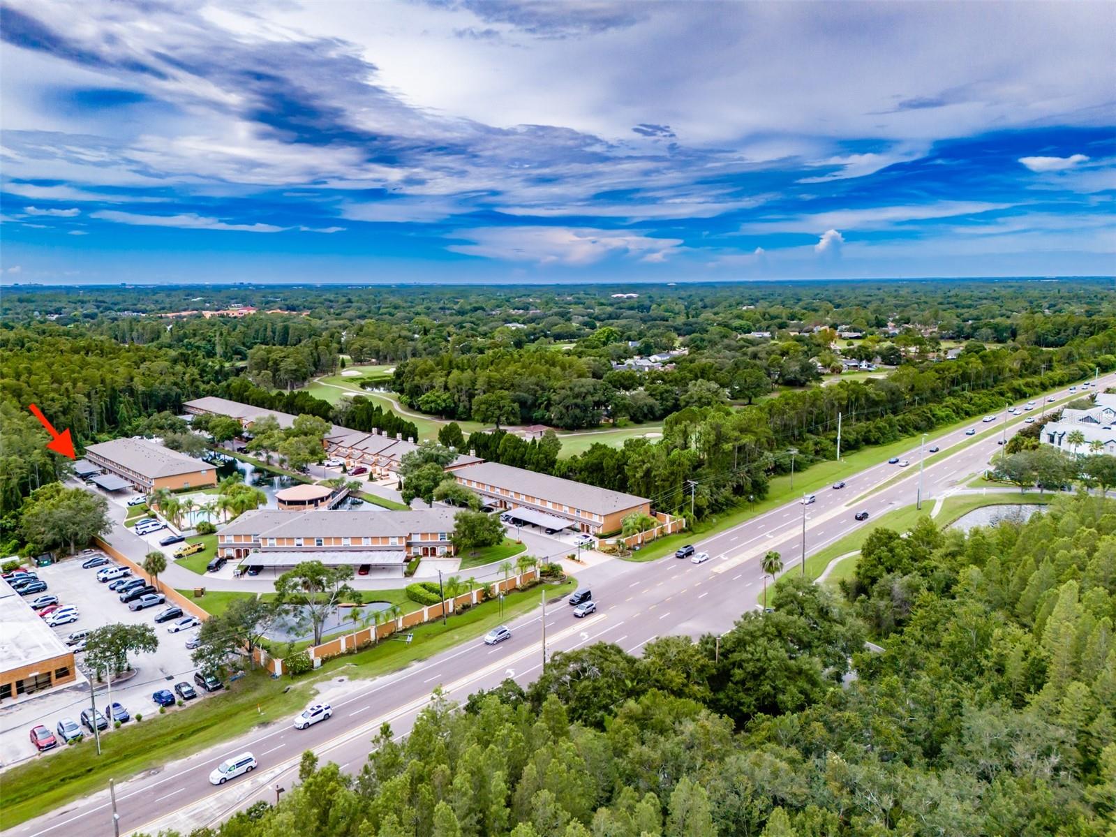 CARROLLWOOD COVE AT EMERALD GR - Residential