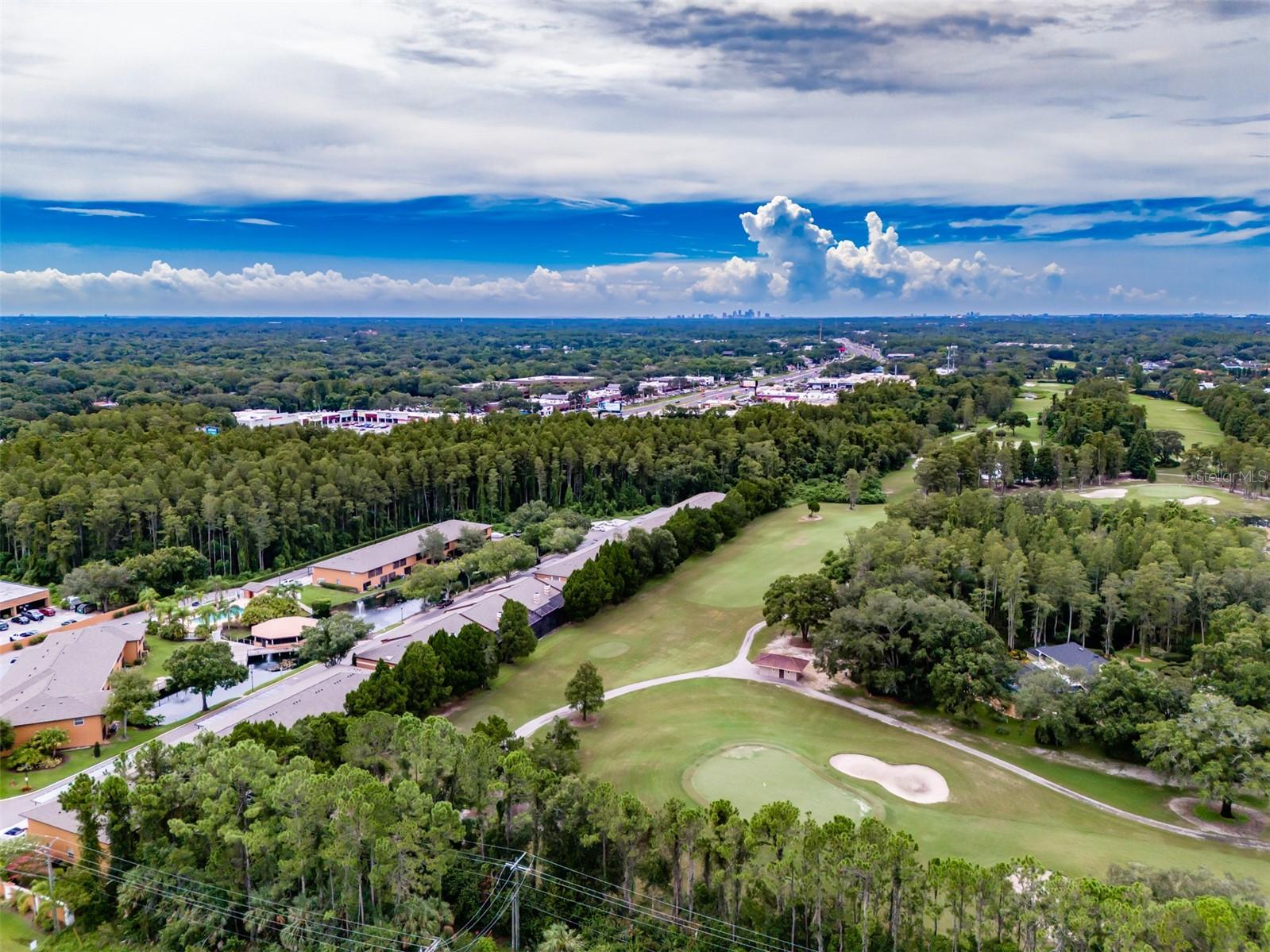 CARROLLWOOD COVE AT EMERALD GR - Residential