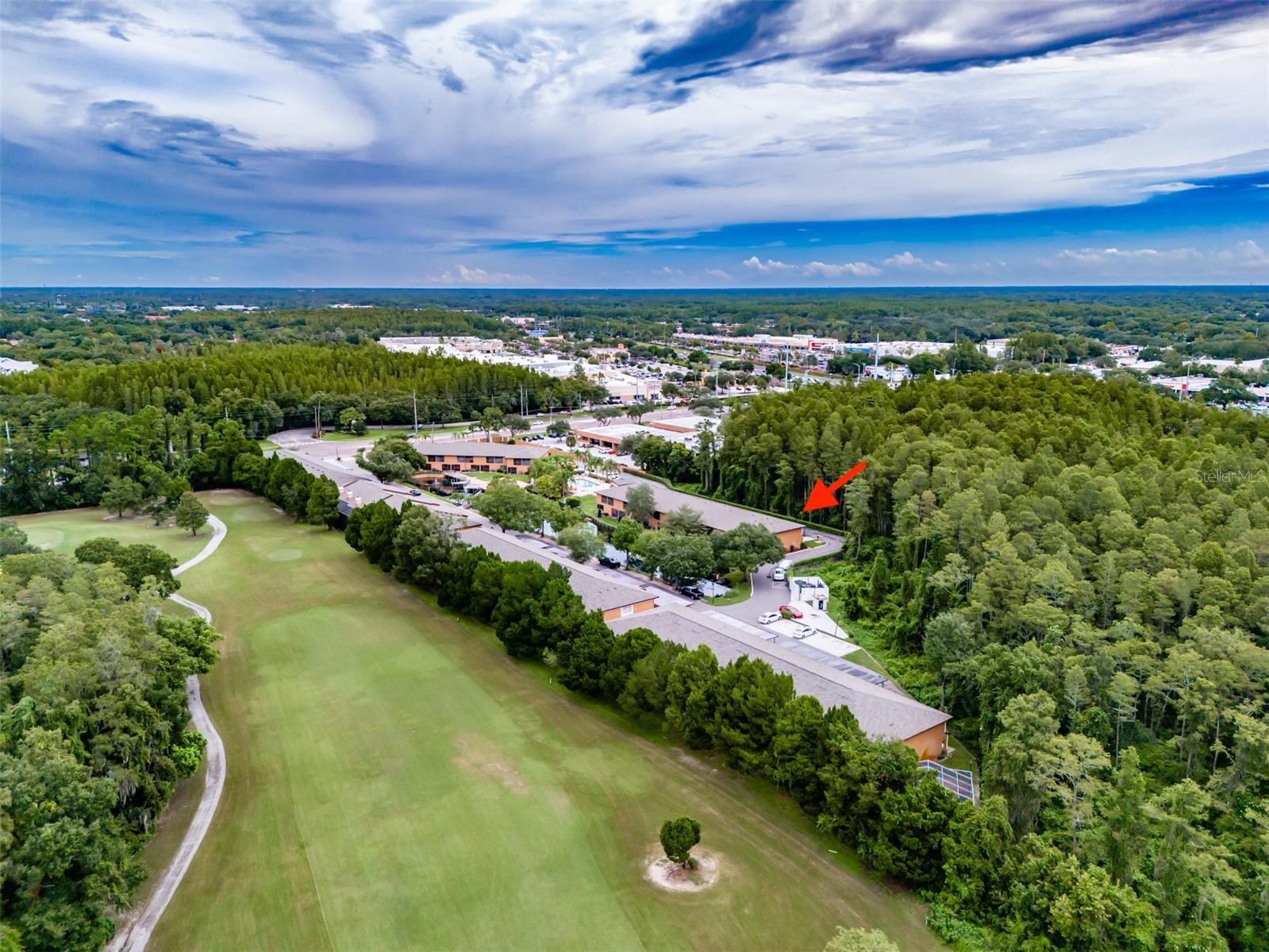 CARROLLWOOD COVE AT EMERALD GR - Residential