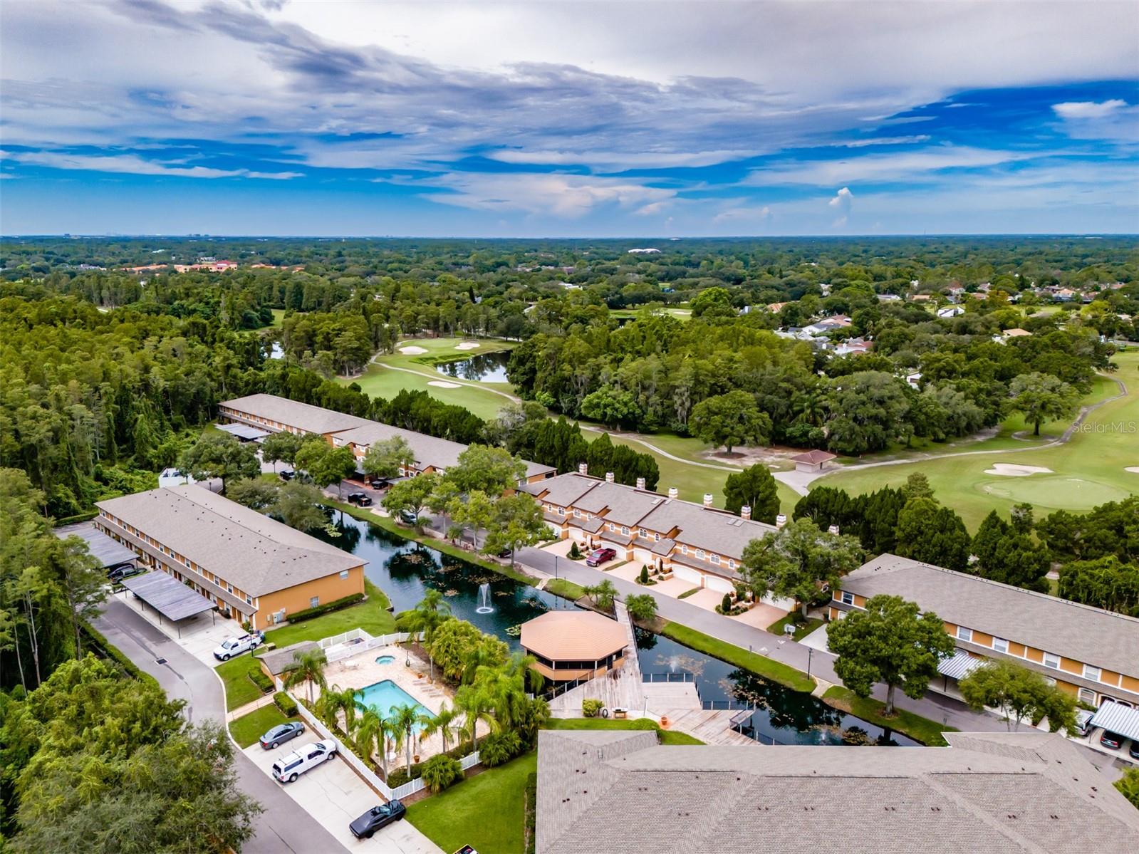 CARROLLWOOD COVE AT EMERALD GR - Residential