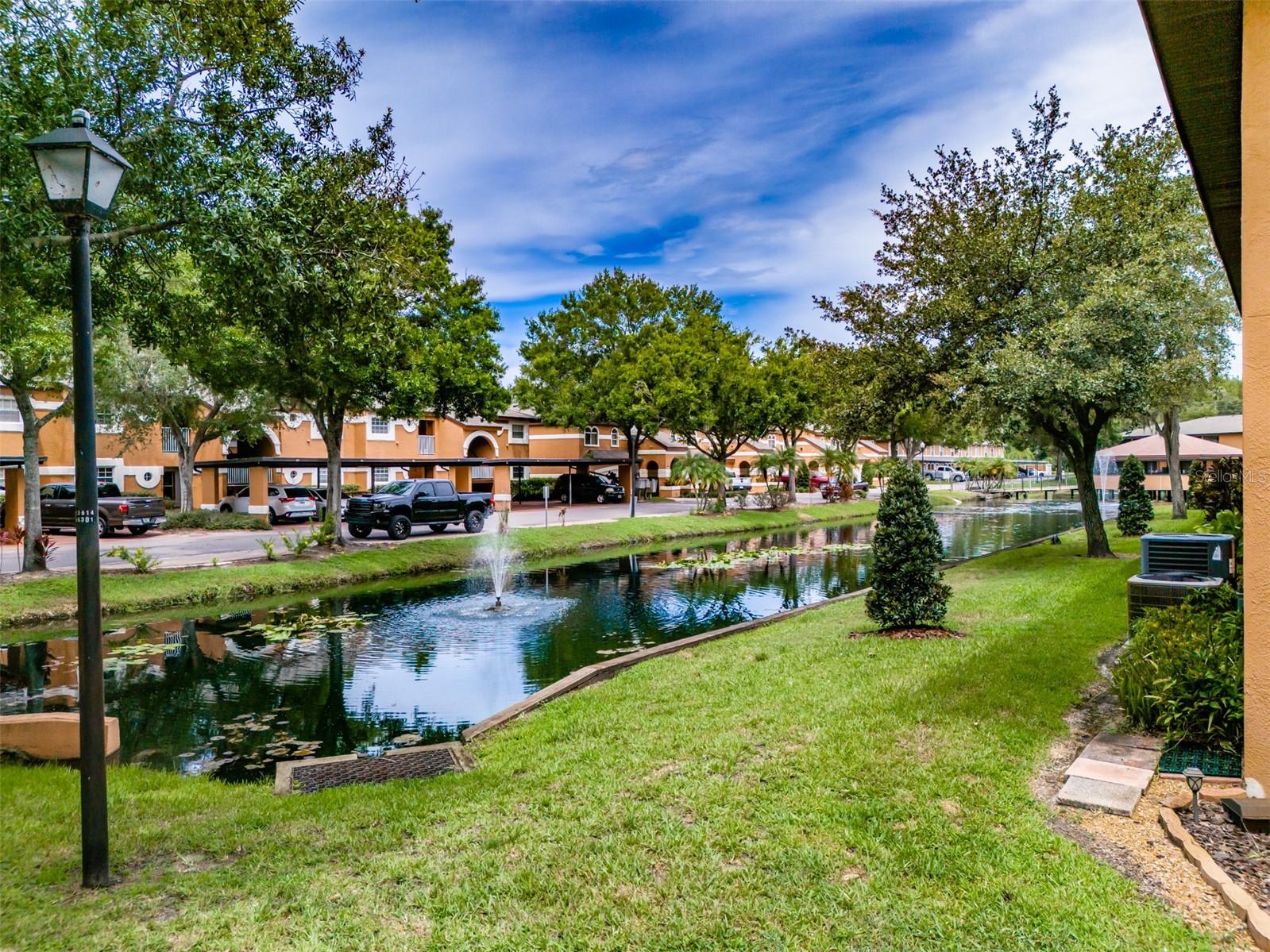 CARROLLWOOD COVE AT EMERALD GR - Residential