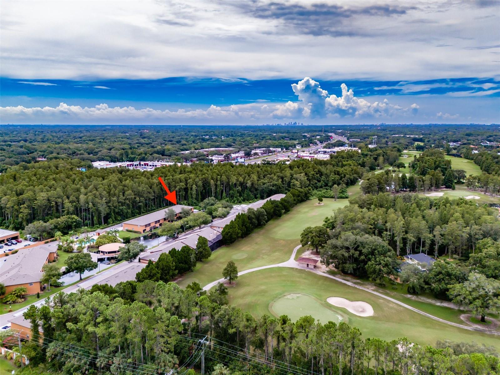 CARROLLWOOD COVE AT EMERALD GR - Residential