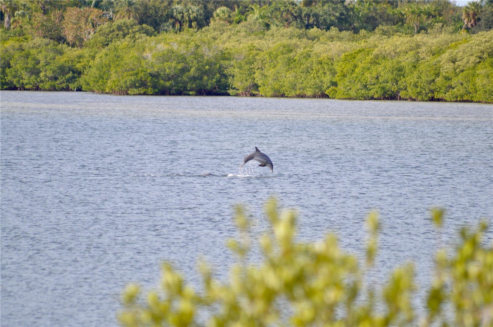 TERRA CEIA BAY ESTATES - Land