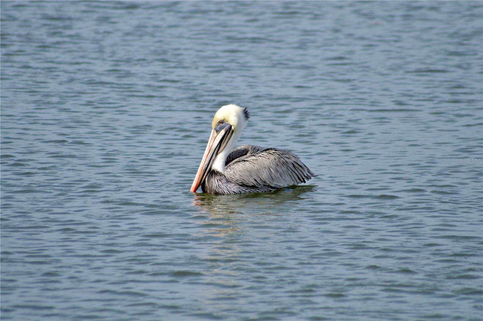 TERRA CEIA BAY ESTATES - Land