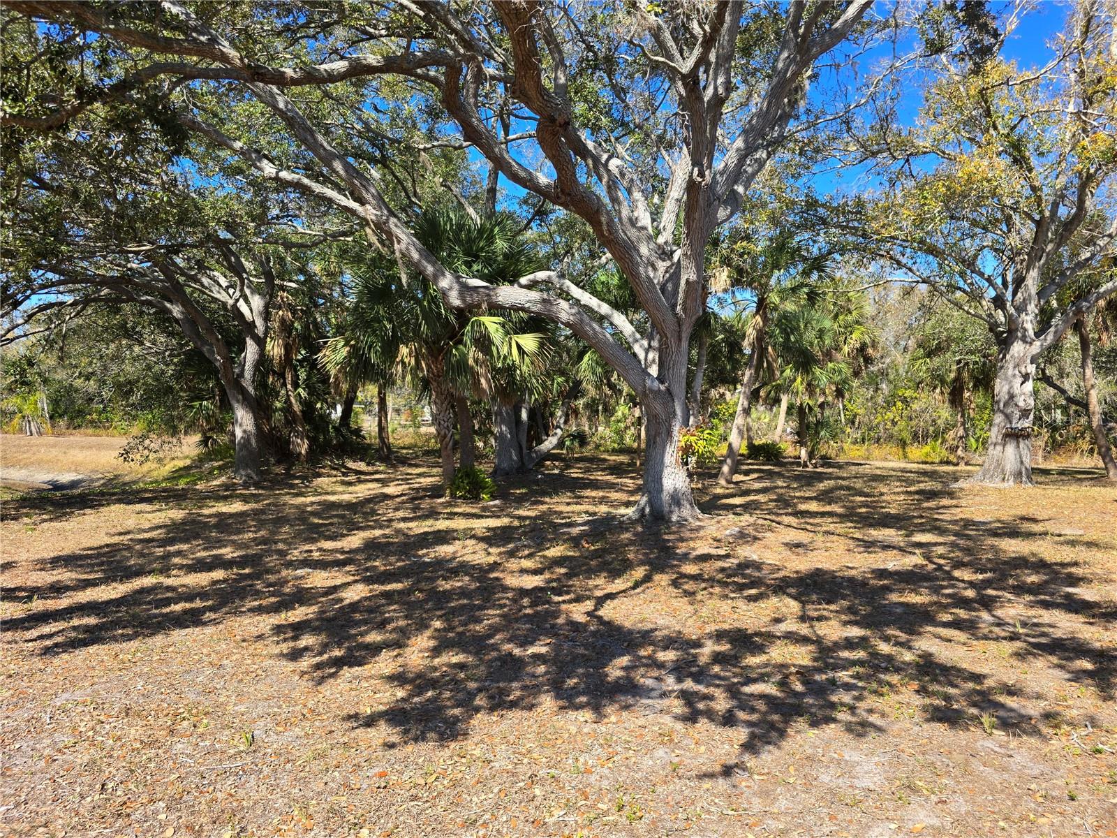 VENICE ACRES - Residential