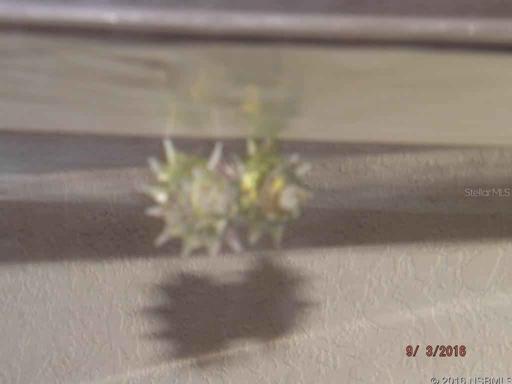 Ocean Walk At New Smyrna Beach - Residential