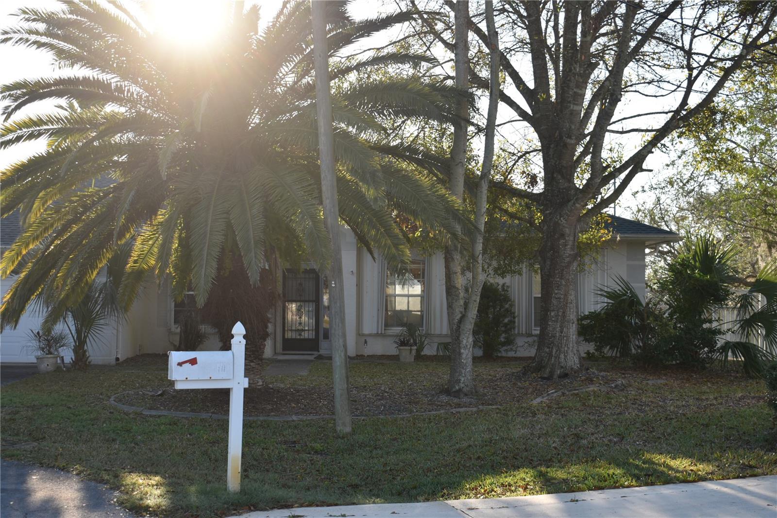 12 CLEMENT COURT