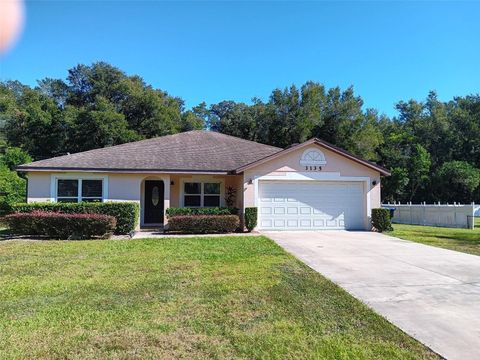 A home in APOPKA