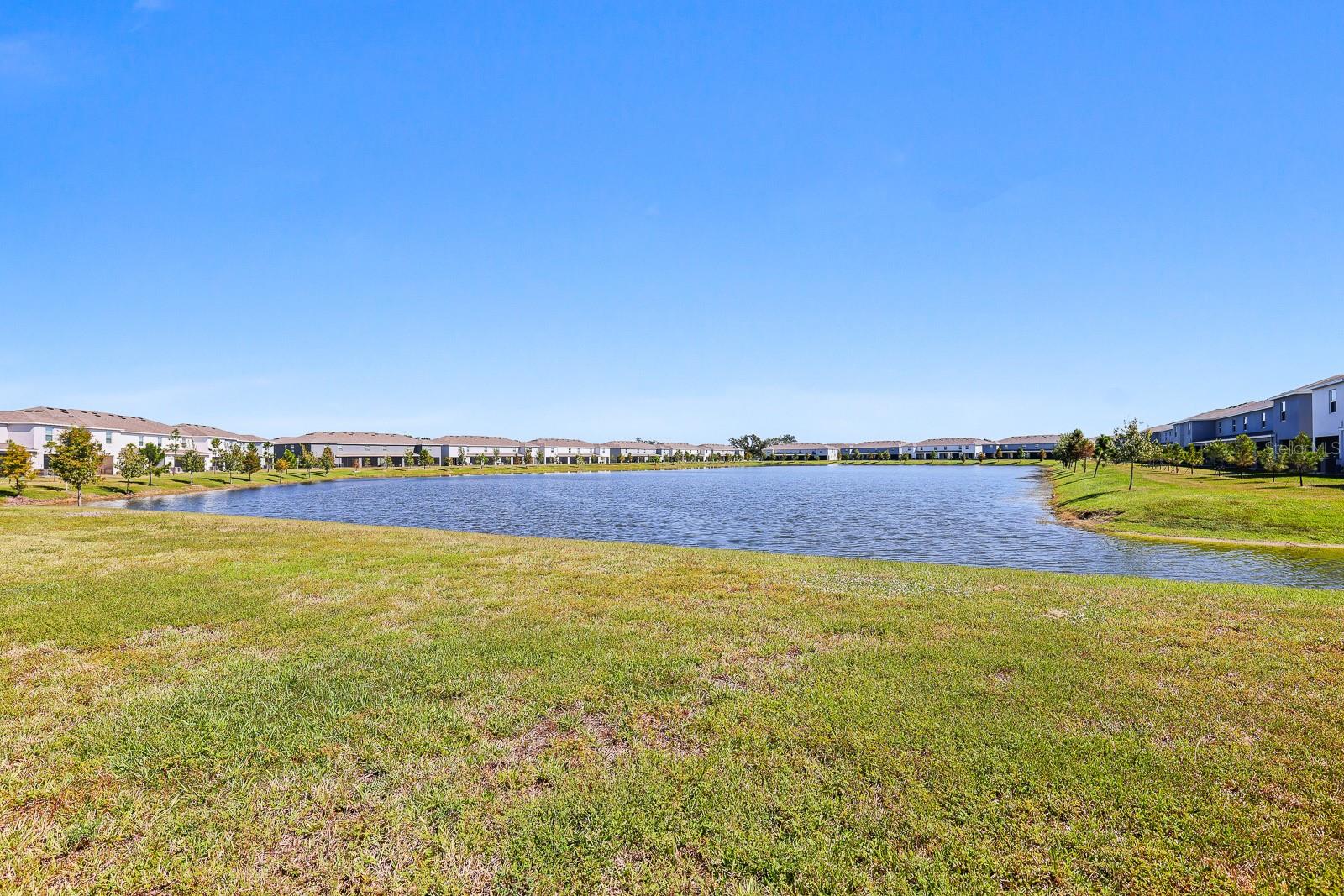 MANGROVE POINT PH 1 - Residential Lease