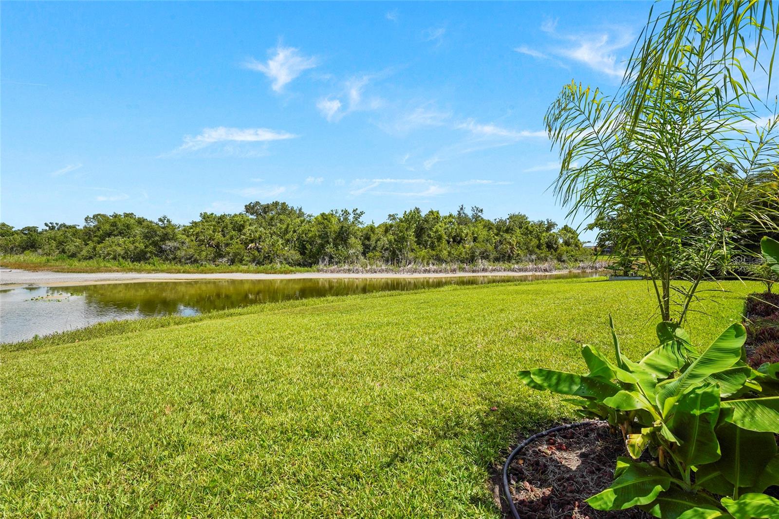 THE LAKES OF JACARANDA - Residential
