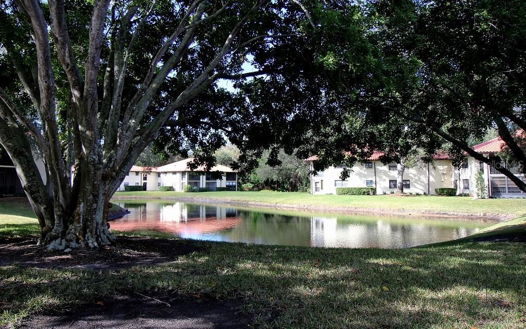 HAMMOCK PINE VILLAGE - Residential