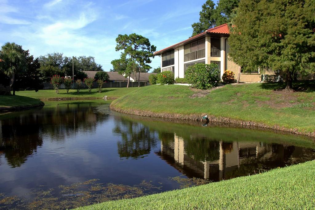HAMMOCK PINE VILLAGE - Residential