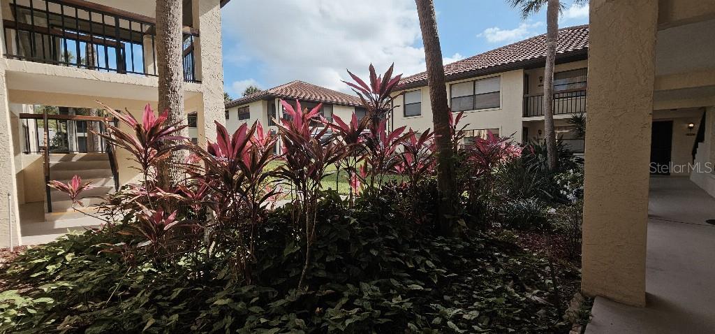 704 HAMMOCK PINE BOULEVARD 704