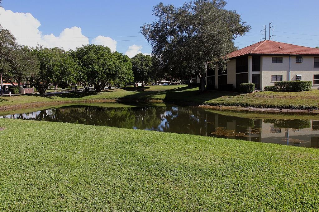 HAMMOCK PINE VILLAGE - Residential