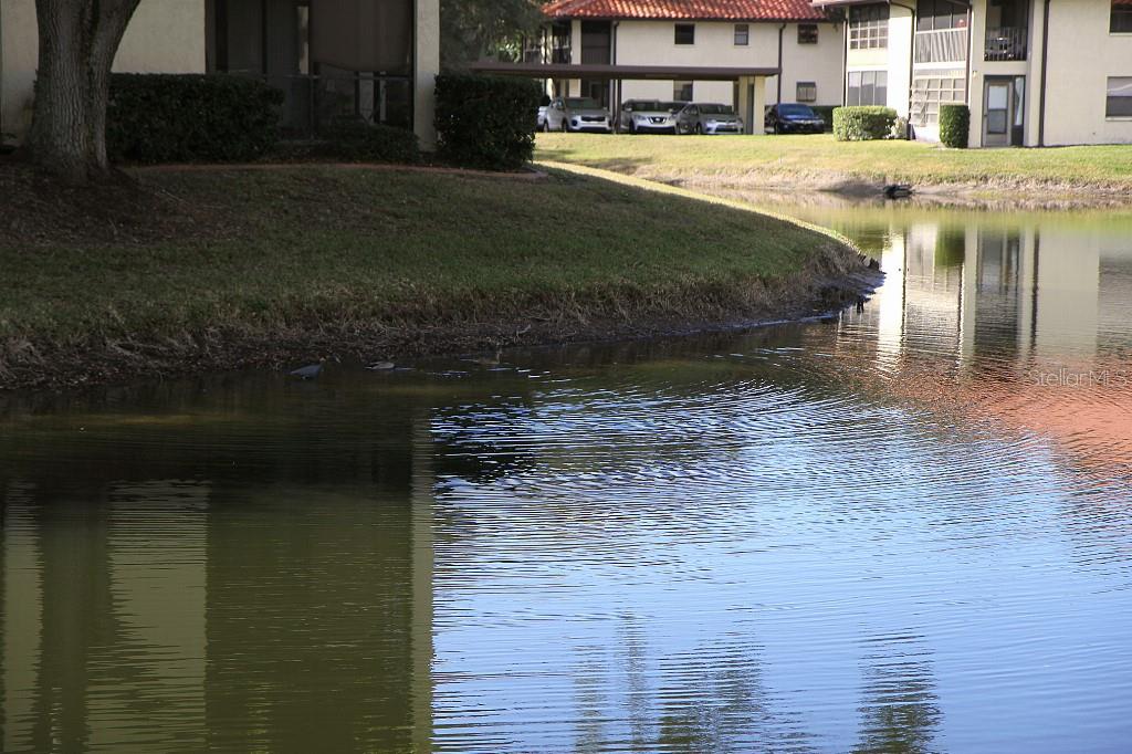 HAMMOCK PINE VILLAGE - Residential