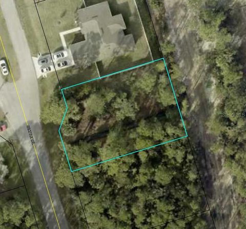 Photo of 81 Seattle Trail, Palm Coast, FL 32164 (MLS # TB8483643)