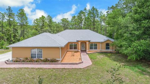 Photo of 20831 SW 59th Lane, Dunnellon, FL 34431 (MLS # O6407763)