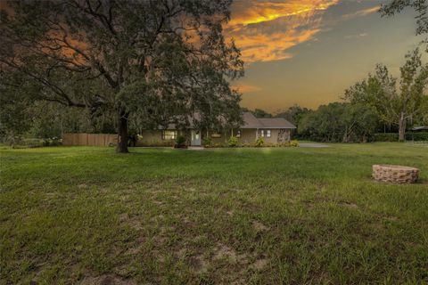 9328 FRED STREET HUDSON FL 34669