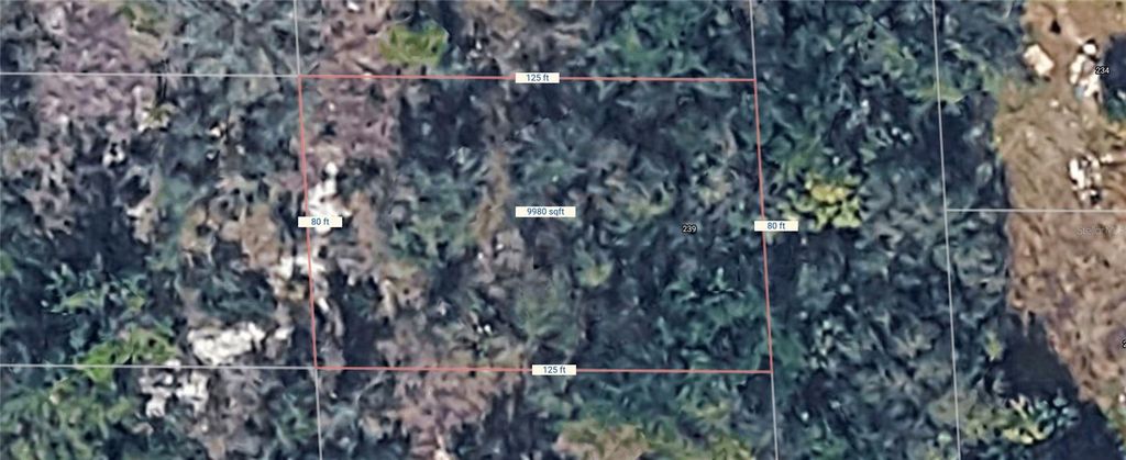 Photo of 239 Sawfish Lane, Punta Gorda, FL 33982 (MLS # C7526153)