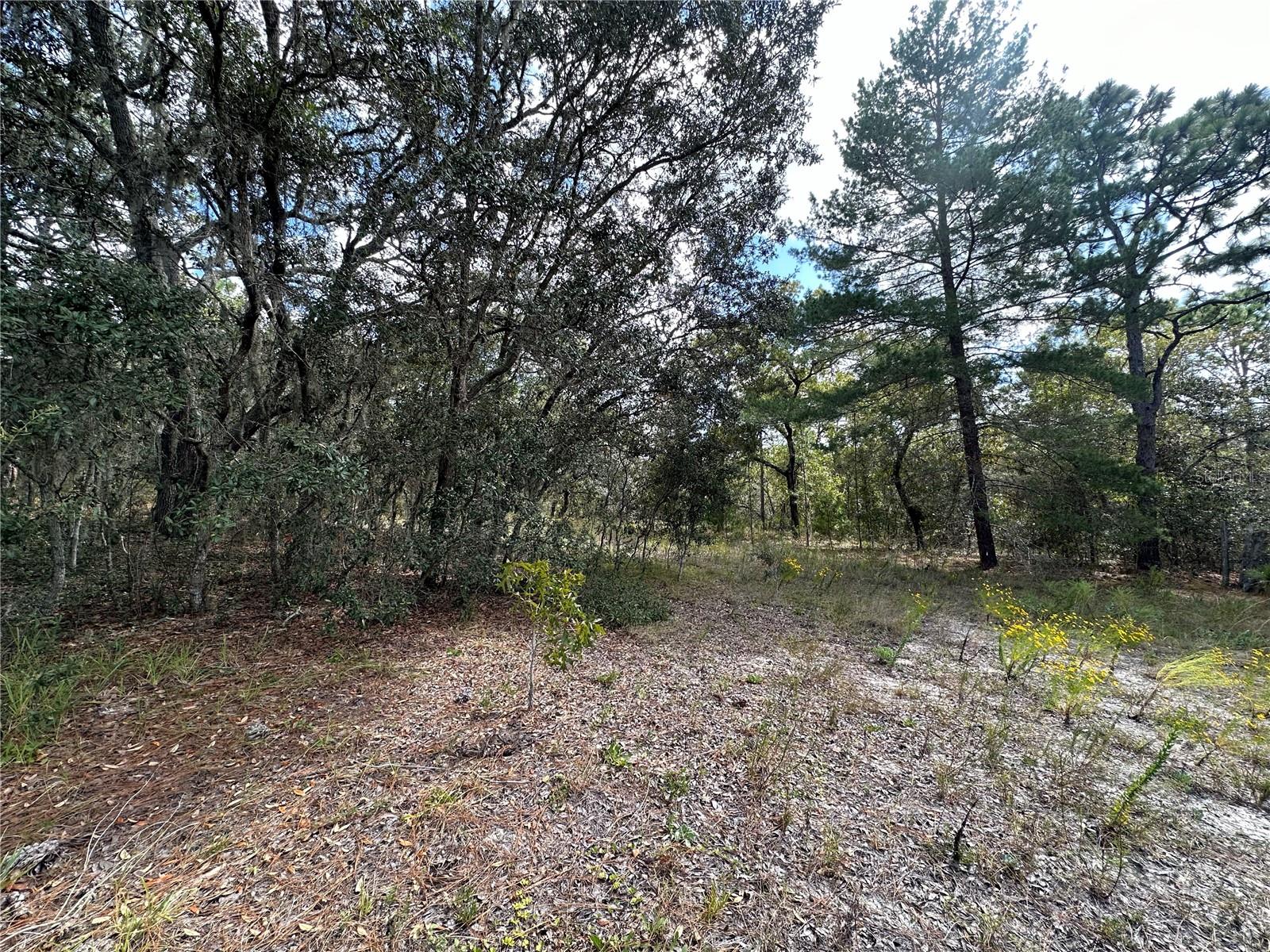 HIGHLANDS UNREC - Residential