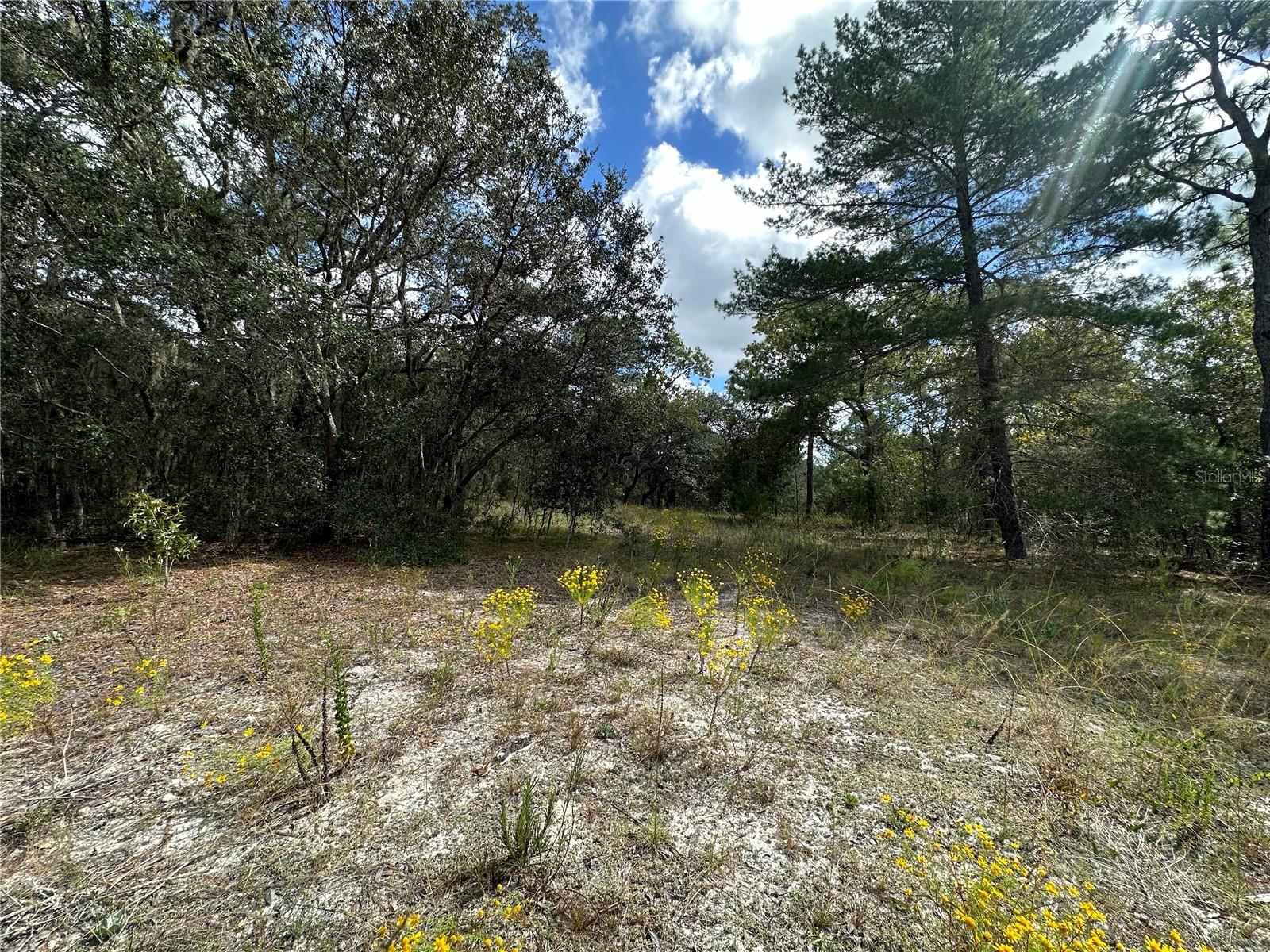 HIGHLANDS UNREC - Residential