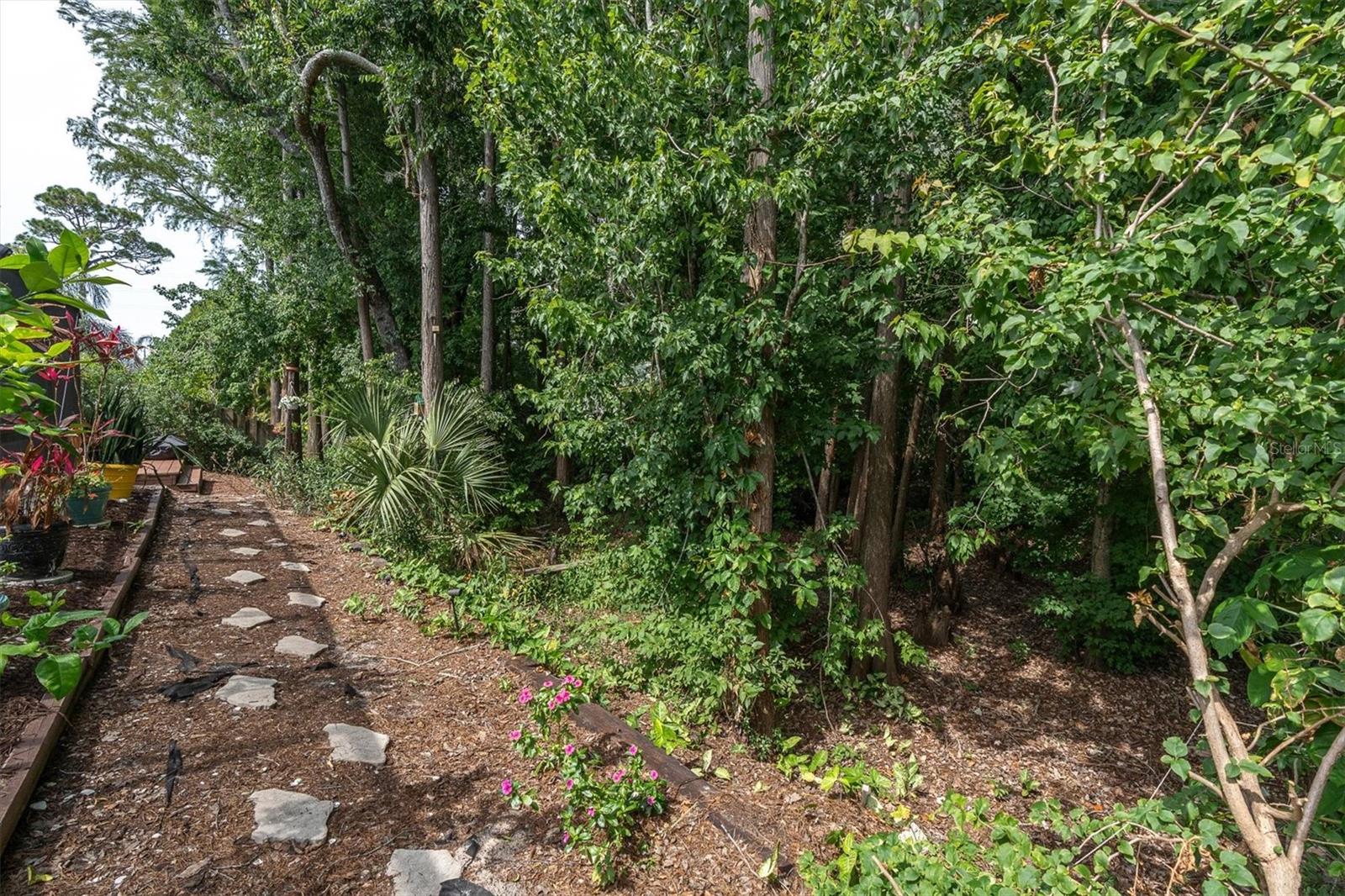 FOREST RIDGE PH ONE - Residential