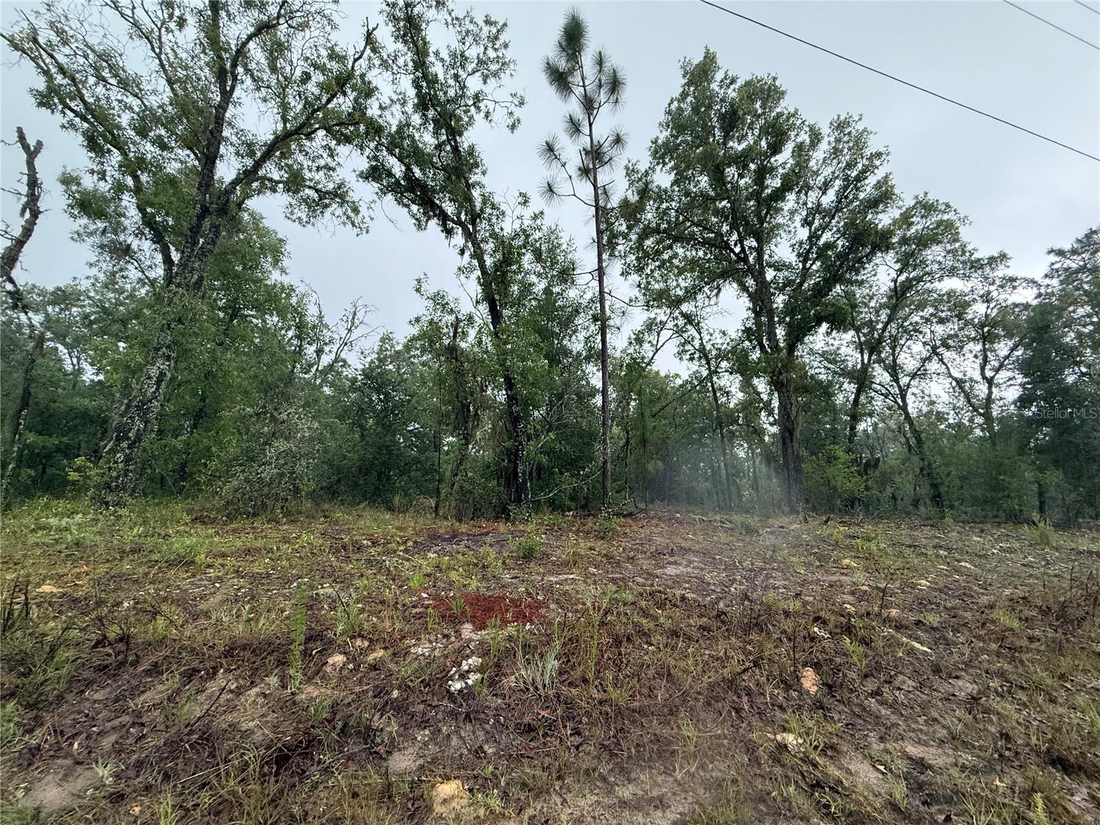 000416 - CITRUS SPRINGS UNIT 27 - Land