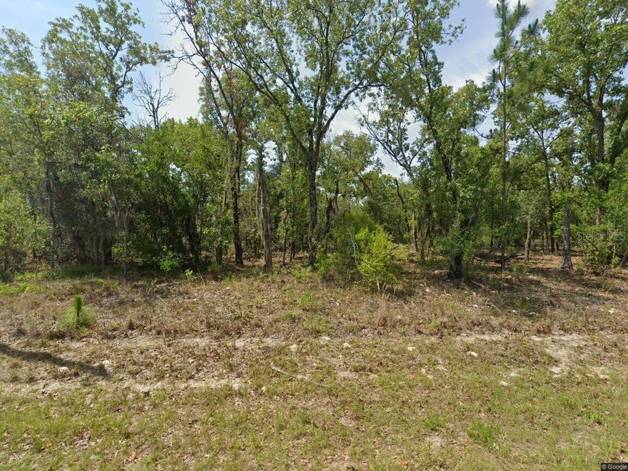 Vacant residential lot in desirable Citrus Springs, offering a wide quarter acre to build your custom home or hold as an investment. Conveniently located near the bike paths and trail system, with easy access to outdoor recreation, shopping, and area amenities.
Great location for a future homesite or investment property. Near the Withlacoochee - Dunnellon Trail connector.
