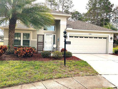 Photo of 18300 Rock Oak Court, Hudson, FL 34667 (MLS # TB8462442)