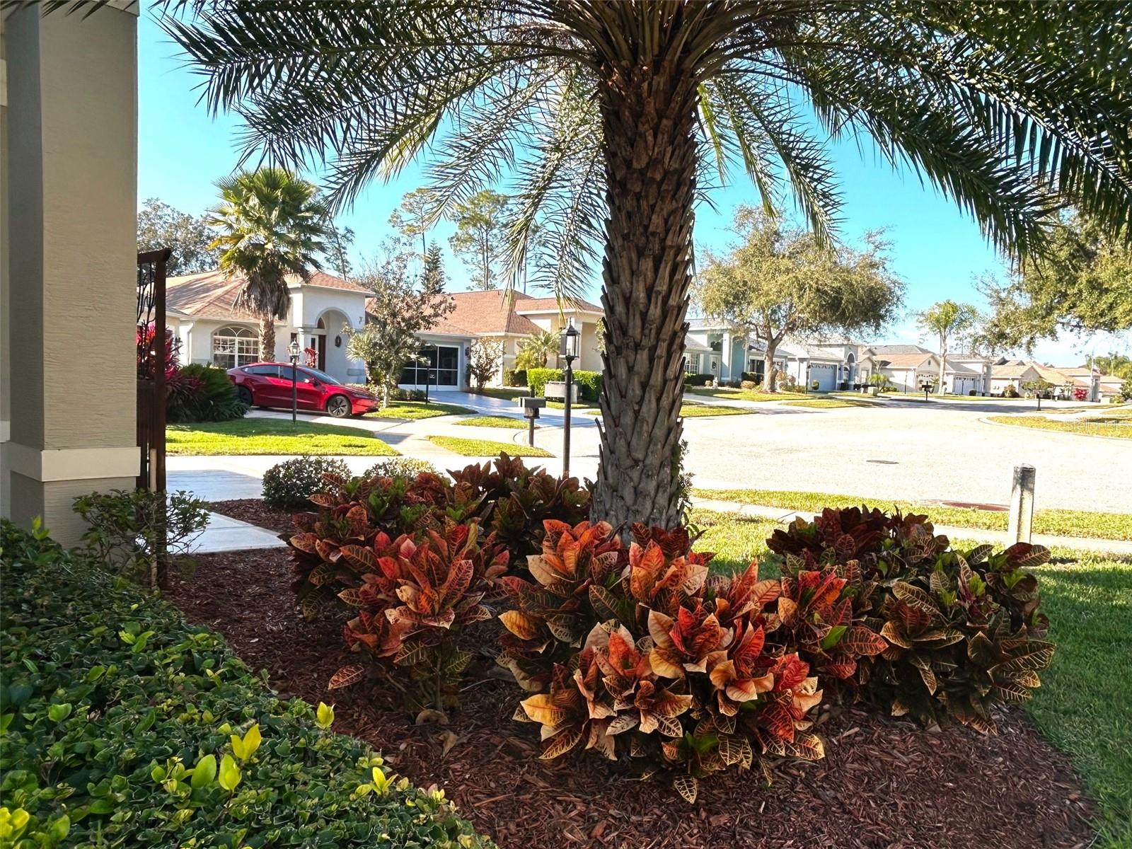 HERITAGE PINES VILLAGE 11 - Residential