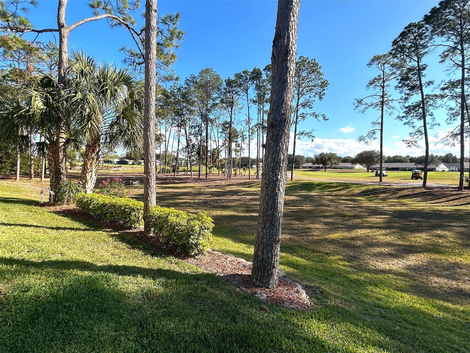 HERITAGE PINES VILLAGE 11 - Residential