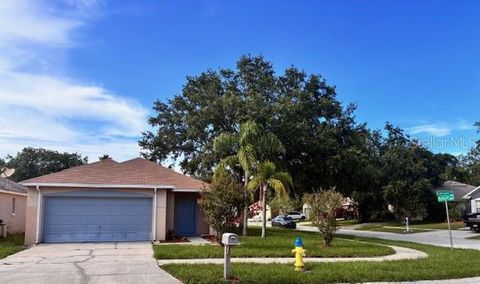 11022 CONNACHT WAY TAMPA FL 33610