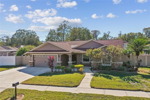 A home in PALM HARBOR