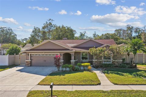 A home in PALM HARBOR