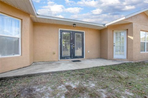 A home in DELTONA