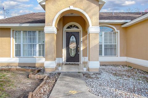 A home in DELTONA