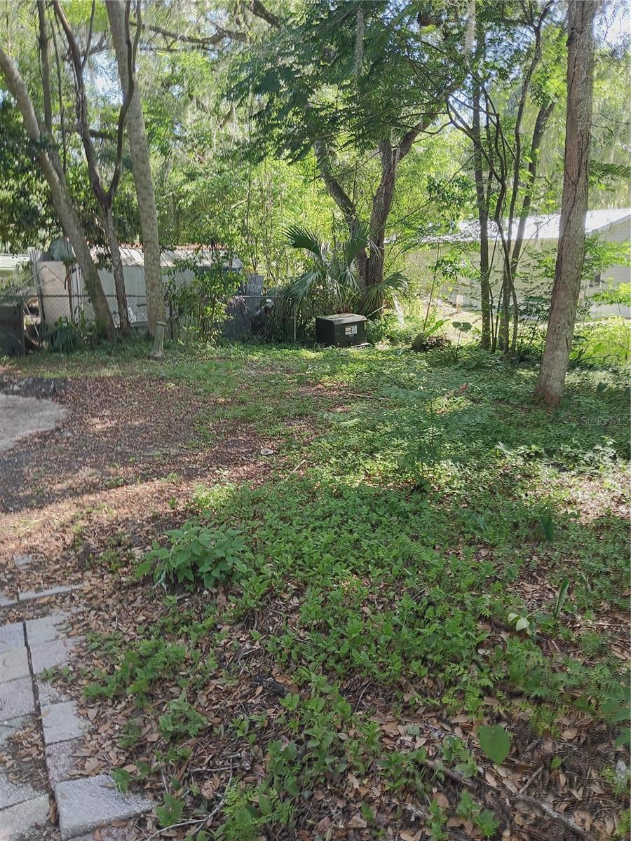 SQUIRREL HAVEN - Residential