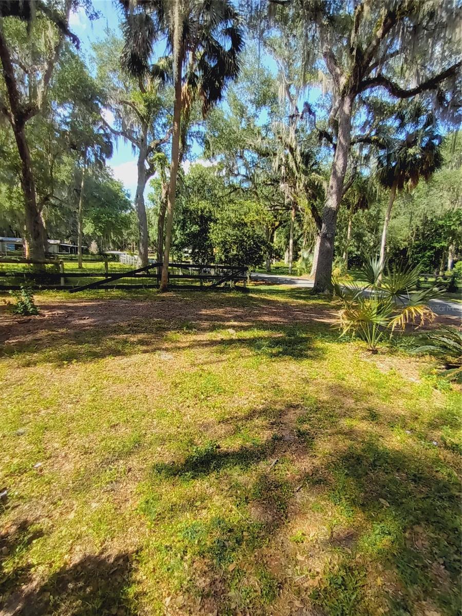 SQUIRREL HAVEN - Residential
