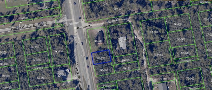 Prime commercial lot available on S Apopka Vineland Rd. This property is being sold together with two additional folios as a package folios numbers:15-24-28-6211-85-090, 15-24-28-6211-85-190. This 6,000 sq. ft. vacant parcel offers excellent visibility and accessibility in one of Central Florida’s most dynamic corridors. Surrounded by thriving residential communities, retail centers, restaurants, and hotels, the property benefits from steady traffic and strong exposure year-round. Its strategic location, with easy access to I-4, SR-535, Palm Parkway, and Lake Buena Vista, makes it an ideal opportunity for investors, developers, or business owners seeking to establish or expand their presence in a high-demand area. The lot provides flexibility for multiple commercial or professional uses and represents a solid investment in a growing market.