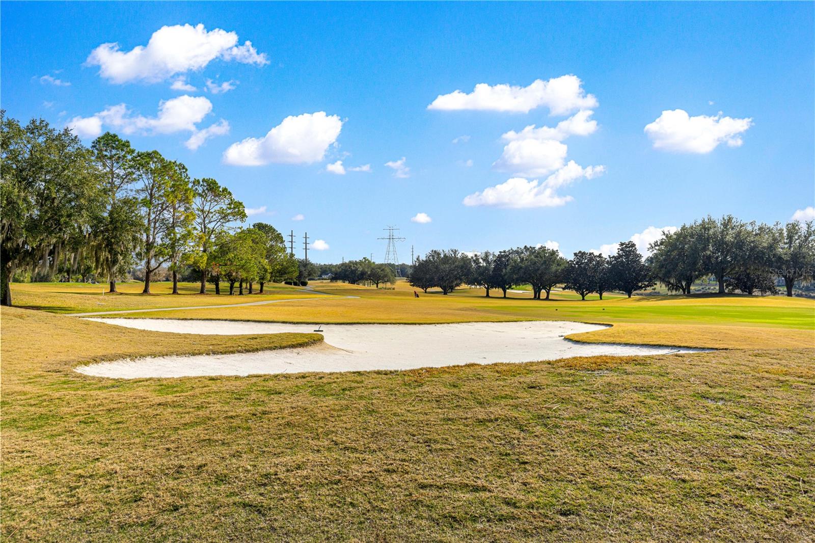 VILLAGES/MARION UN 55 - Residential