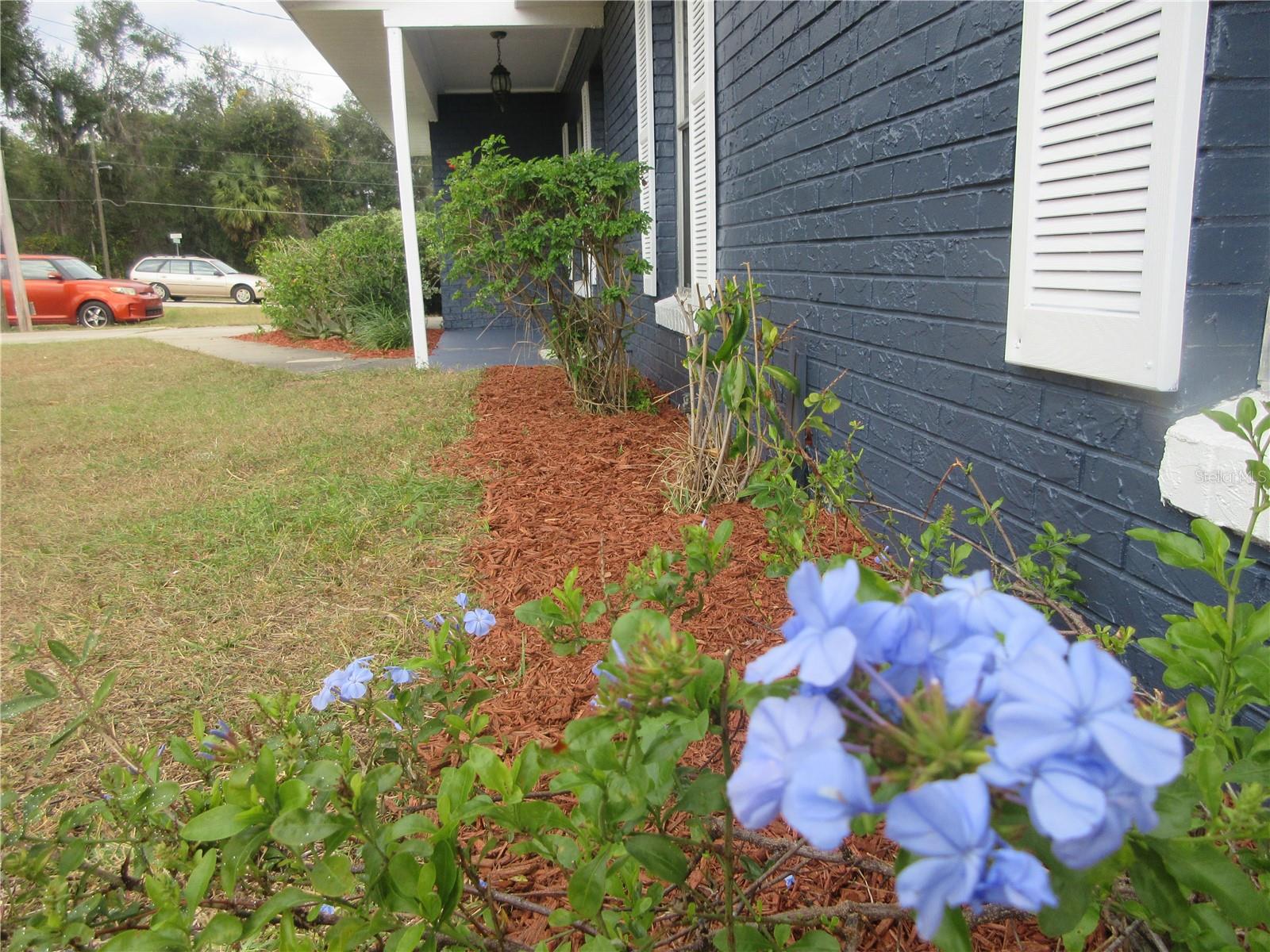 SILVER SPGS WOODS - Residential