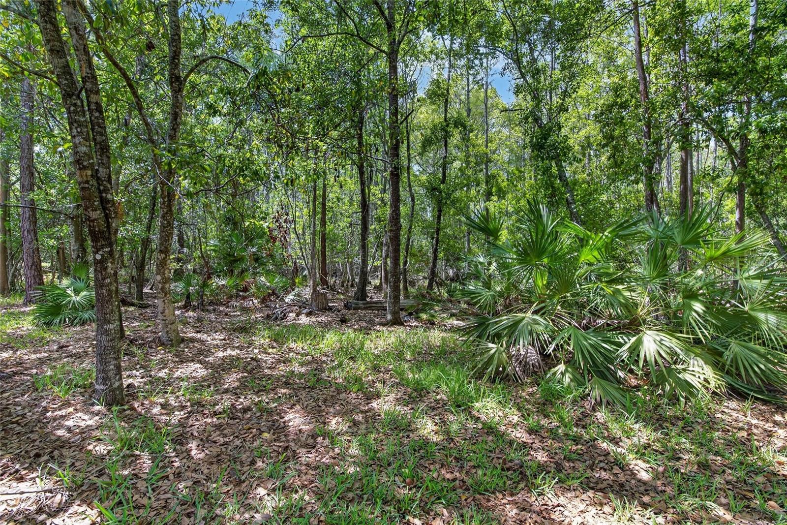 GROVES PH 2 GC 15-16 - Residential